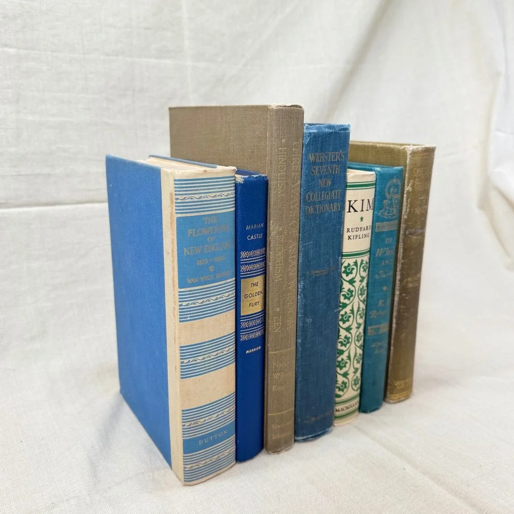 Vintage Blue and Neutral Decorative Book Bundle Set of 7 Hardcover Books Decor